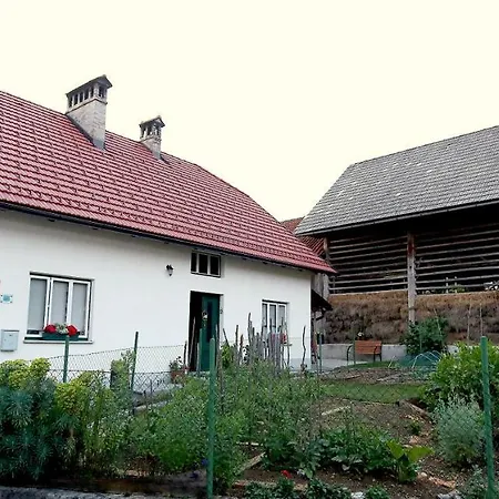Ostir Cerknica