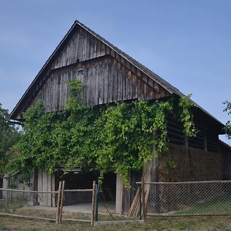 Ostir Feriehus Cerknica