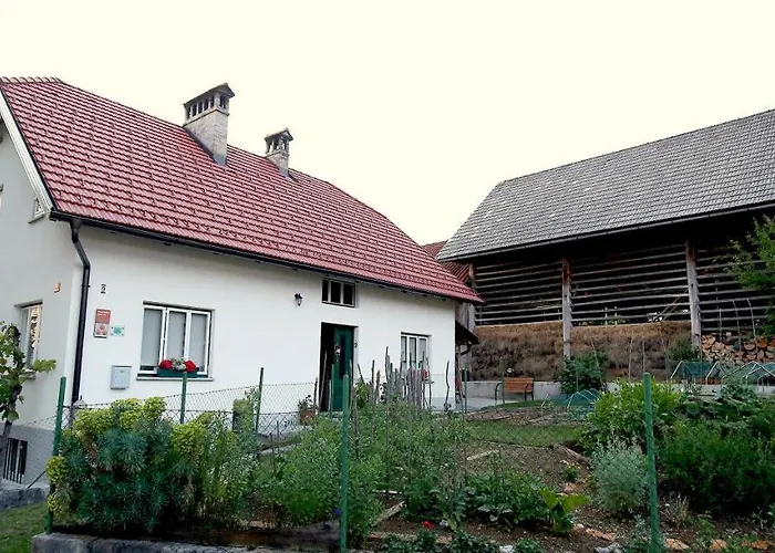 Ostir Cerknica