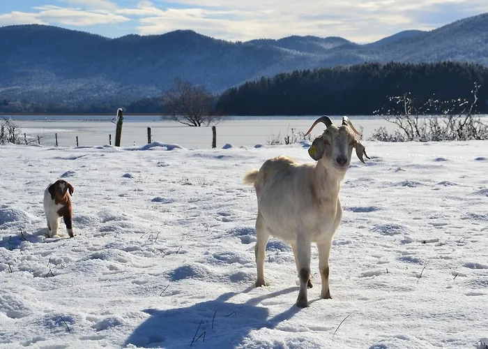 Ostir Holiday home *